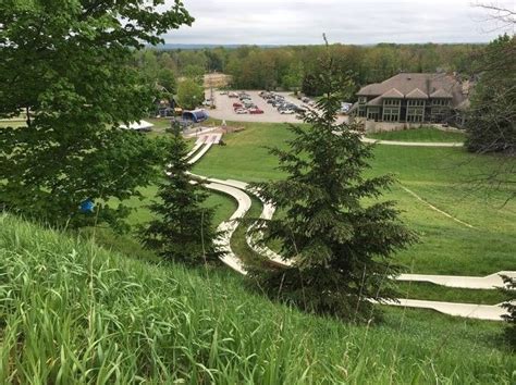 Michigans Only Coaster Alpine Slide Is 1700 Feet Of Summertime Fun