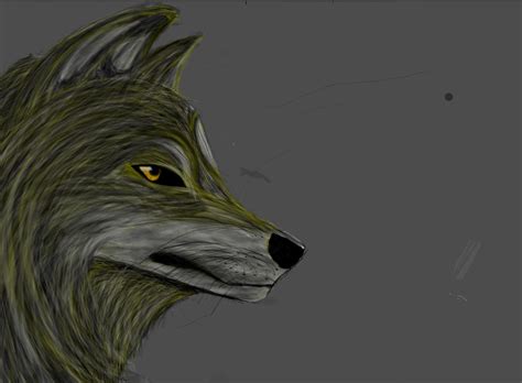 Wolf Side Profile Practice Rdrawing
