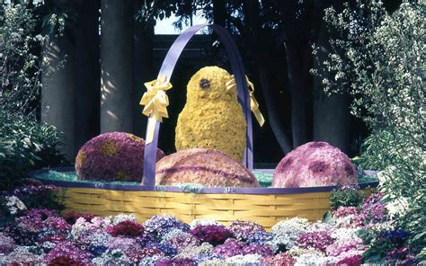 Rainbow gardens opened in 1924 at the intersection of lincoln way and route 48 in white oak with a roller rink. Spring Flower Show 1971 | Phipps Conservatory and ...