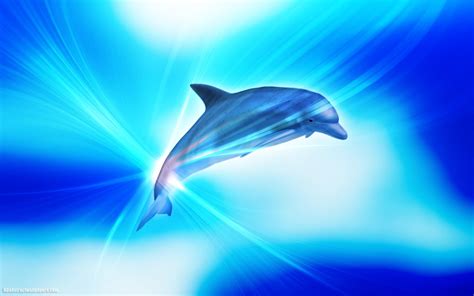 Abstract Dolphins Wallpapers Wallpaper Cave