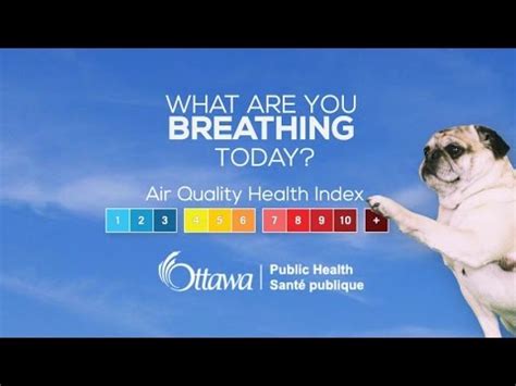 Keep track of the most polluted cities in the world with our air quality index (aqi) ranking. What is the Air Quality Health Index (AQHI)? - YouTube