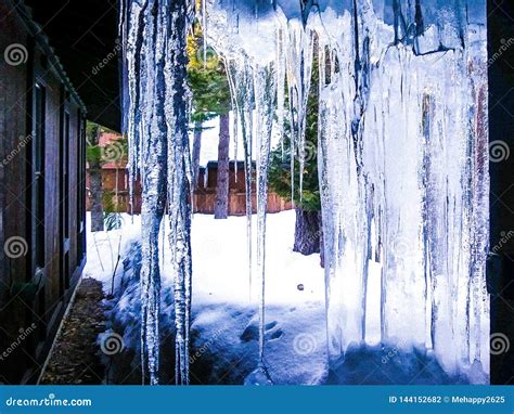 Winter Wonderland Stock Photo Image Of Snow Frozen 144152682