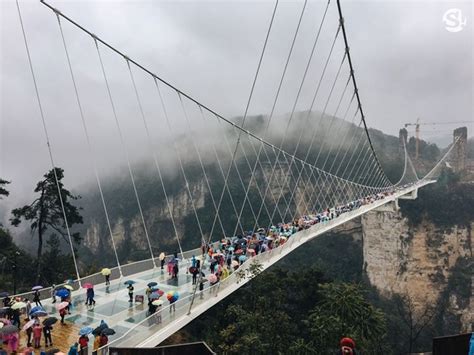 พิชิตสะพานแก้วสูงที่สุดในโลกแห่งจางเจียเจี้ย พิสูจน์ความกล้าของนักเดินทาง