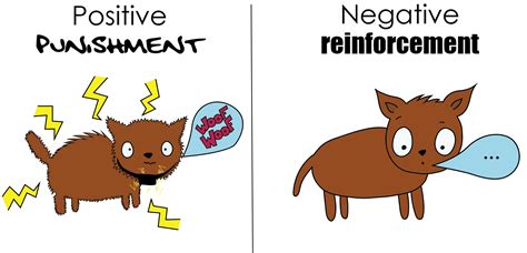 Dog Training With Positive Vs Negative Reinforcement Stacey Carter