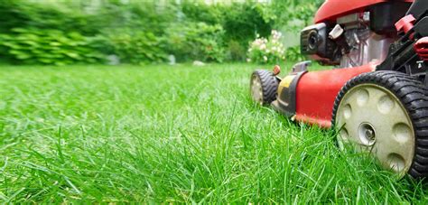 5 Lawn Care Tips For Greener Grass Home Garden And Homestead