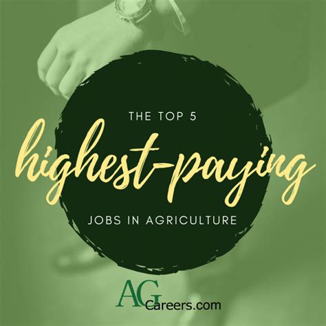 5 Highest Paying Jobs In Agriculture Career Cultivation Agcareers