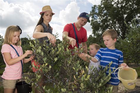Farm Stay – The Next Level of Agritourism | Panhandle Agriculture
