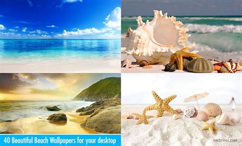 Find your perfect desktop wallpaper for your pc or laptop! 40 Beautiful and Best Beach Wallpapers for your desktop ...