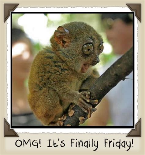 Omg Its Finally Friday Pictures Photos And Images For Facebook
