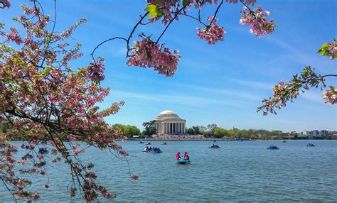 The National Cherry Blossom Festival Washington Dcs Spring Fling