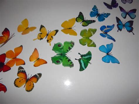 3d Butterflies The Rainbowmulti Coloured Collection Etsy