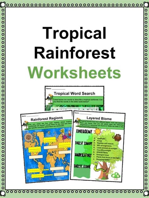 Tropical Rainforest Facts Worksheets Characteristics And Location For Kids