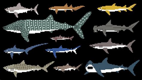 Sharks 8 Bit Learn Animals Great White Shark The Kids Picture