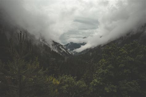 Fog Mountain Forest Royalty Free Stock Photo