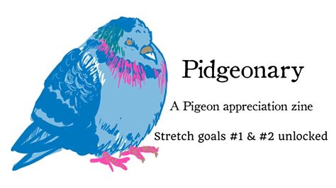 Pidgeonary A Pigeon Appreciation Zine Project Video Thumbnail
