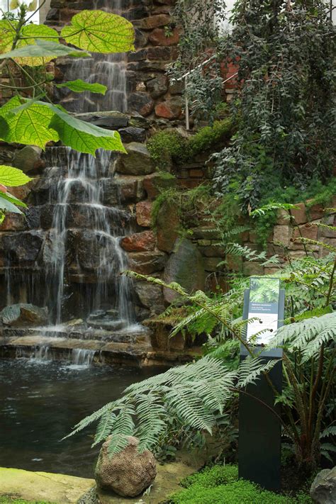 Information and translations of ravine in the most comprehensive dictionary definitions resource on the web. Tropical Ravine - Marcon Heritage