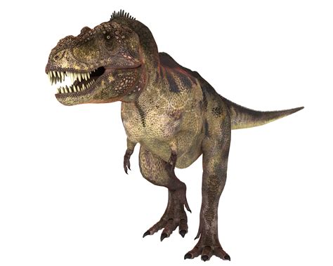 Actualizar Imagem Sobre O Dinossauro Rex Br Thptnganamst Edu Vn
