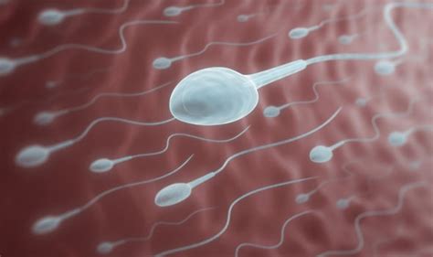 Sperm Count Drinking More Than Three Cups Of Coffee A Day May Harm