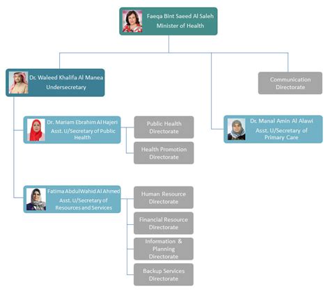 With the inception of the ministry of culture, arts and tourism on 20 may 1987, tdc was moved to this new ministry; Organization Structure - Ministry of Health