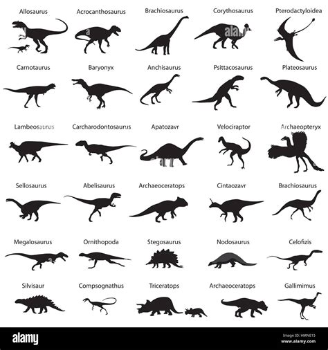 Collection Of Silhouettes Of Dinosaurs With Names Stock Vector Image