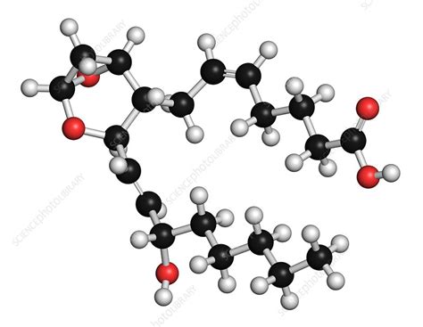 Thromboxane A2 Molecule Stock Image F0215128 Science Photo Library