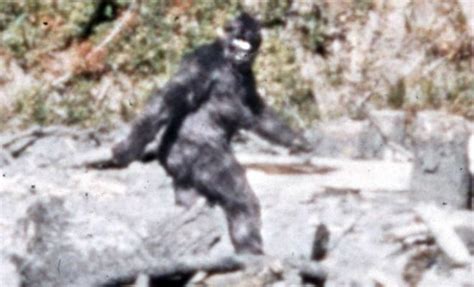 Texas Bigfoot Conference Converges On East Texas This Weekend