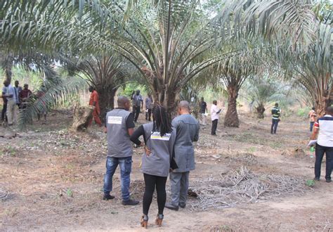 Bridging The Knowledge Gap Among Oil Palm Farmers Solidaridad Network