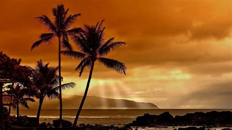 Maybe you would like to learn more about one of these? Free Hawaii Desktop Wallpapers - Wallpaper Cave