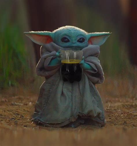 The real baby Yoda : argentina