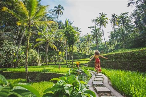 Wakacje Na Bali Gili I Lomboku Egzotyczne Wycieczki I Wyjazdy