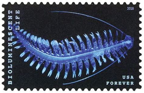 2018 First Class Forever Stamp Bioluminescent Life Marine Worm