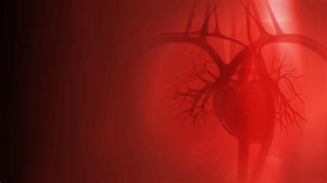 Cardiology Desktop Wallpapers Top Free Cardiology Desktop Backgrounds