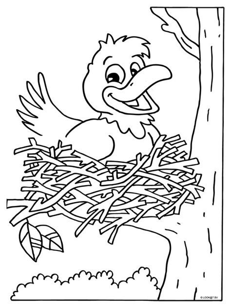 Kleurplaat lente Kleurplaten, Vogelnest, Vogeltjes