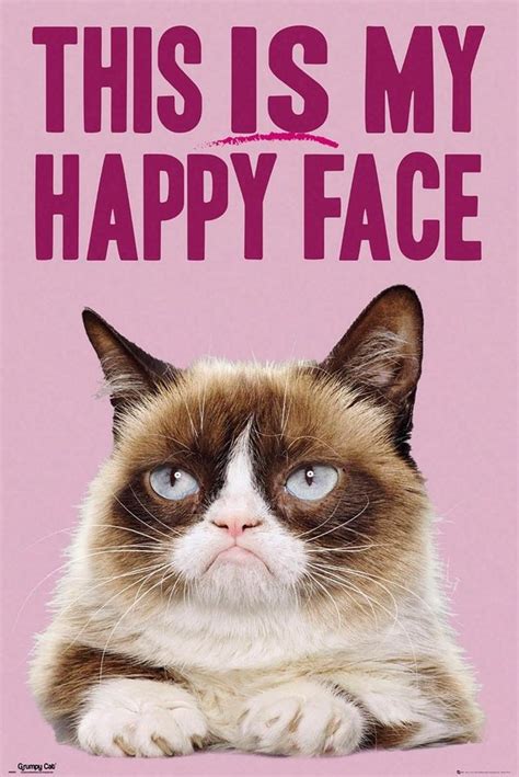 Deco Panel Grumpy Cat Happy Face Tiermotiv 6090 Cm Online Kaufen