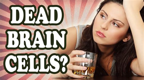Erudition Does Drinking Alcohol Really Kill Brain Cells