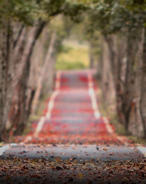 Gratis 400 Gratis Background Blur Road Hd Background Id