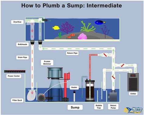 This is a step by step video! How to Plumb a Sump - Basic, Intermediate and Advanced - Marine Depot Blog | Aquarium sump ...