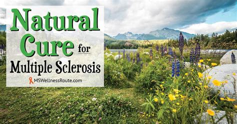 Natural Cure For Multiple Sclerosis Ms Wellness Route