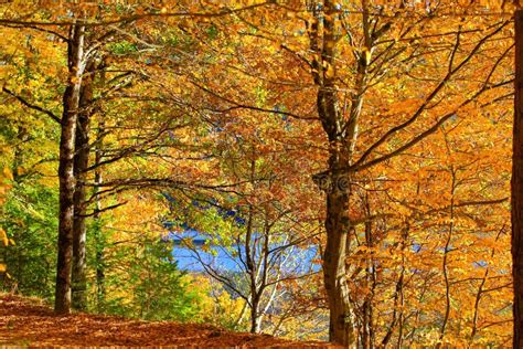Beautiful Fall Scenery With Colorful Trees At Aubusson Lake Auvergne