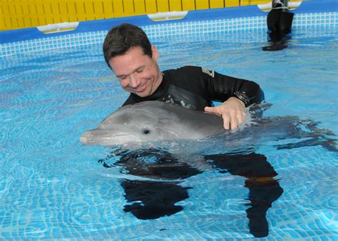 Photos New Baby Dolphins Introduced At Brookfield Zoo Wgn Tv