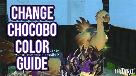 Ffxiv 235 0394 Change Chocobo Color Guide Youtube