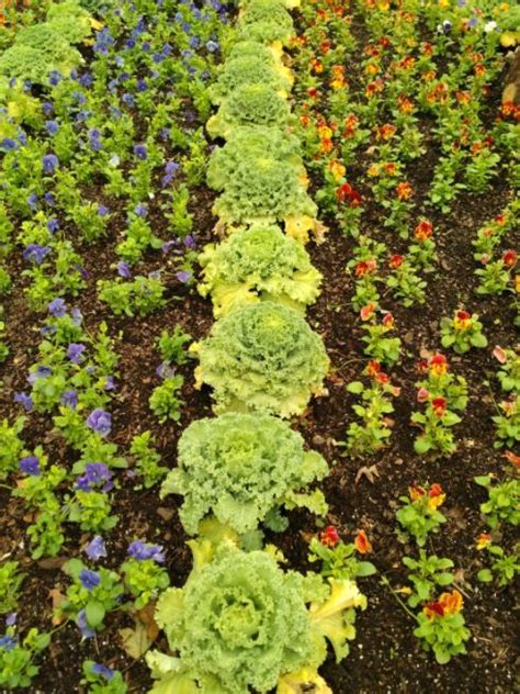 Beautiful And Edible Gardens For Summer Home Remedy Houston