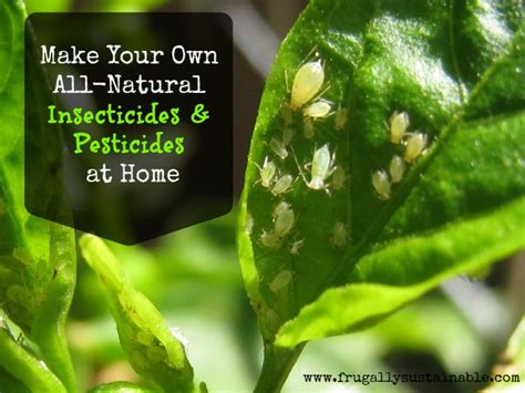 We make shopping quick and easy. How To Make Your Own Homemade Organic Insecticides ...