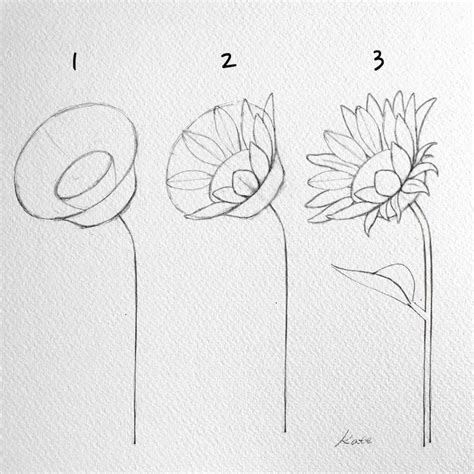 Easy Flower Drawings In Pencil Step By Step A Beautiful Flower Always