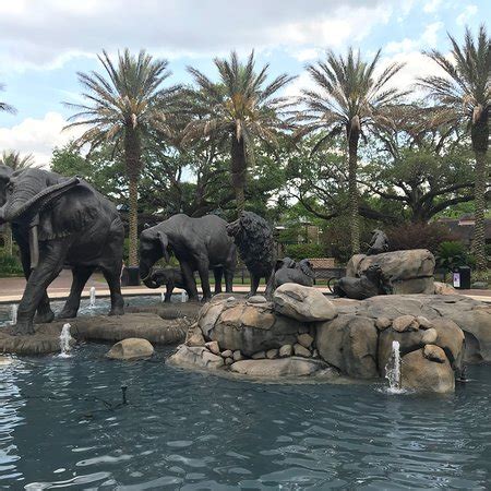 Constructed in1928, the sea lion pool, with its graceful neoclassical columns, is one of neworleans' prettiest spots. Audubon Zoo (New Orleans) - All You Need to Know Before ...