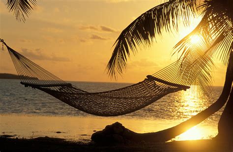 sunset hammock on beach ubicaciondepersonas cdmx gob mx