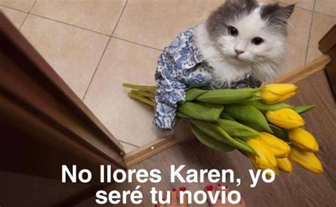 Las Mejores 188 Porque El Nombre De Karen En Los Memes De Gatos