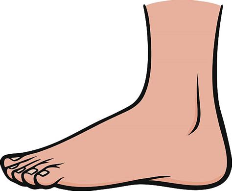 Foot Clip Art Images Illustrations Photos 3 Clipartix