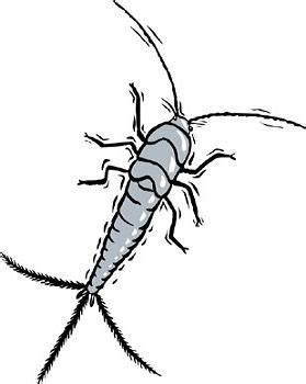 They rely mostly on carbohydrates to survive that come from starches and natural sugars. Legal Research is EASY: Donate with Care