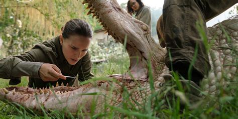Although delivered as a final, macabre twist, there's a few hints along the way that at this point we're entrenched with ray as the hero of the story, but the movie is making it clear it really is him against the world if he isn't wrong. Netflix movie Annihilation plot and ending explained ...